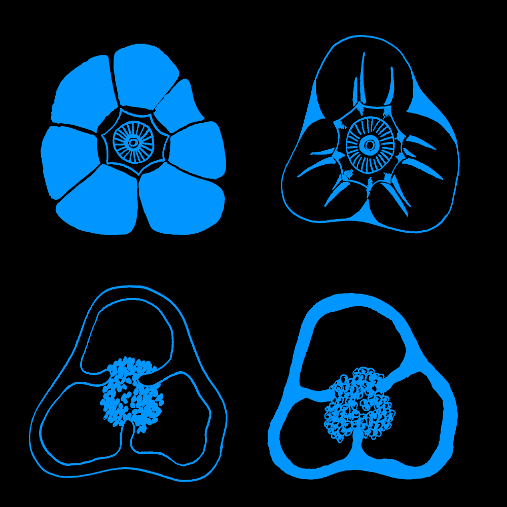 Städtische Fachoberschule für Gestaltung