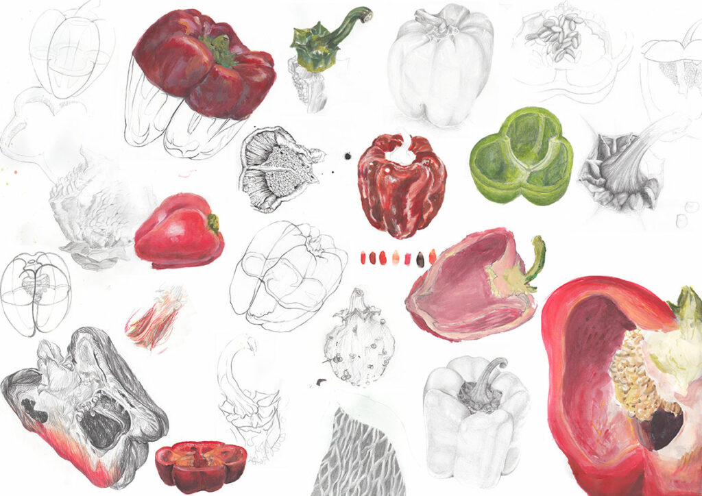 Studienblatt Städtische Fachoberschule für Gestaltung